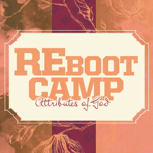 REBoot Camp Series Art