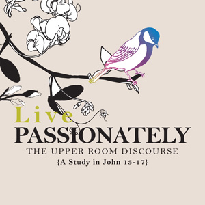 Live Passionately: A Study in John 13-17 - The Upper Room Discourse Series Art